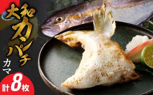 y{茧szaJp`̃J}@N072-YA946