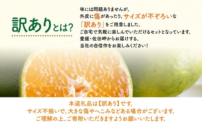 【先行予約】【訳あり】極早生みかん 5kg（2026年9月中旬から発送予定）IKTF029