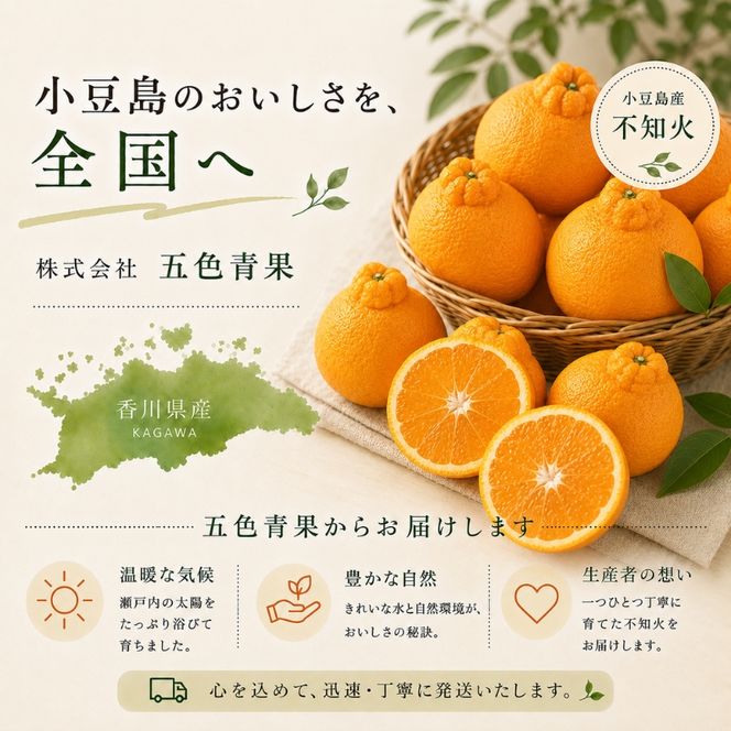 【 小豆島 】小豆島　不知火　約5kg 果物類 みかん 柑橘類 フルーツ 