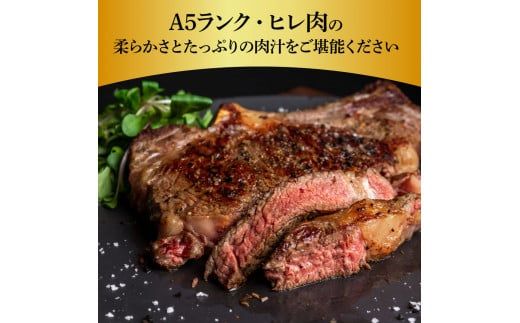 【CF-R7hbk】土佐和牛特選ヒレステーキ100g×2枚セット 200g 牛肉 肉 お肉 和牛 国産 牛 ヒレ ステーキ A5 最高級 特選 霜降り 国産 希少 豪華 贅沢 美味しい おいしい 柔らかい 肉汁