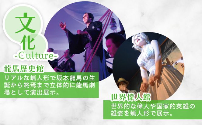 アクトミュージアム１DAYペアチケット ak-0001