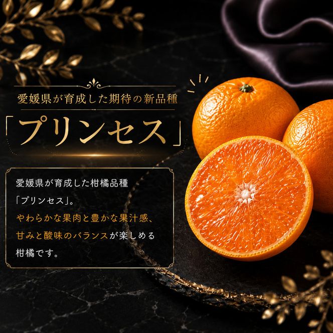 冷凍プリンセス 500g × 2袋 冷凍みかん みかん ミカン 愛媛みかん 蜜柑 柑橘 かんきつ 冷凍ミカン 冷凍柑橘 アイス スムージー シャーベット みかん職人武田屋 愛媛県 愛南町