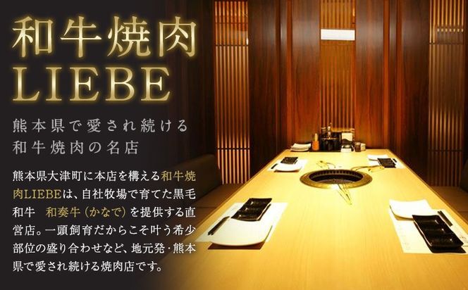 A5 A4 ランク 厳選 黒毛和牛 焼肉 2種盛り 300g 600g 900g《45日以内に出荷予定(土日祝除く)》熊本県 大津町 和牛焼肉LIEBE ステーキ 冷蔵 リーベ---so_cliebey2sy_45d_r7_15000_300g---