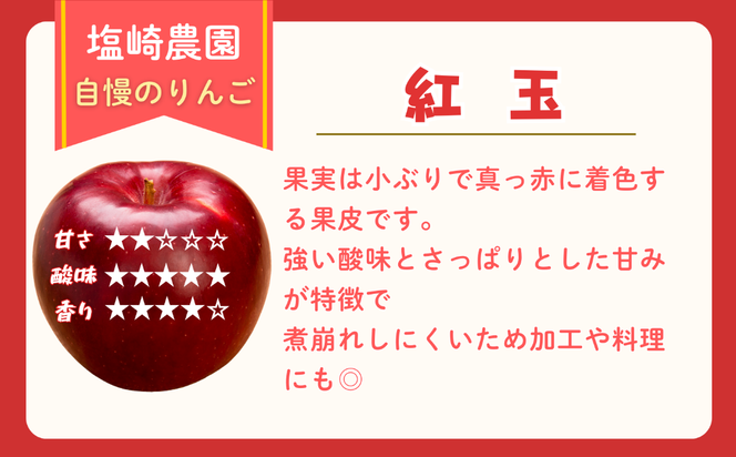 【先行予約丨2026年10月上旬より順次発送】紅玉【約2〜2.5kg(8〜14玉)】(At-007)丨長野県 飯山市 おすすめ ランキング おいしい 高評価 大人気 先取り 産地直送 りんご こうぎょく
