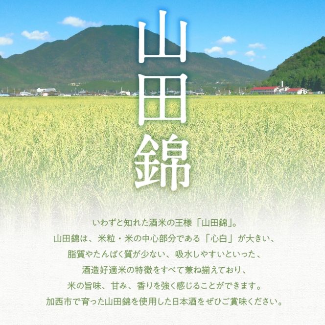 日本酒 トマト セット 兵庫県 加西市 富久錦 純青 生酛純米 ＆ よしよし畑 クラフトトマト 中玉 220g×3袋 コタニ酒店 セレクト