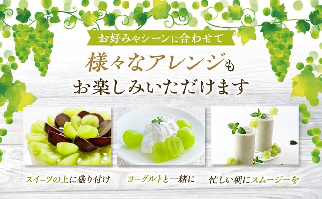 ぶどう 2026年 先行予約 ご家庭用 シャイン マスカット 2房 1房600g～700g 8月下旬～9月中旬発送分 ブドウ 葡萄 フルーツ 果物 岡山 赤磐市産 農マル園芸 あかいわ農園 