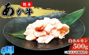 あか牛 赤牛 熊本 和牛 肥後 赤牛 白ホルモン 500g (250g×2パック) 牛肉 肉 お肉 配送不可:離島 牛ホルモン 国産 日本産 熊本県産 柔らかい 食感 ぷりぷり ホルモン焼き もつ鍋 もつ煮込 鍋料理 冬 つまみ 