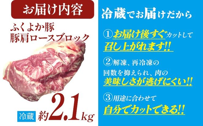 ふくよか豚肩ロースブロック約2.1kg 豚肩ロースブロック 豚肩ロースブロック肉 豚肉 肩ロース ブロック肉 豚ブロック肉 豚 ふくよか豚 トンテキ ステーキ しょうが焼き とんかつ チャーシュー ローストポーク 冷蔵便