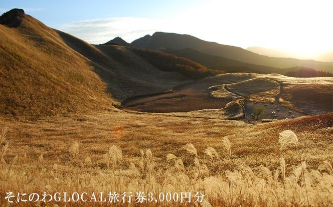 yޗǌ]zSONI Experience s 3,000~ / s cA[ ֐ ߋE ޗ ] AEghA  ̌ {fB[[N ݐ ݂؂ ^TCN