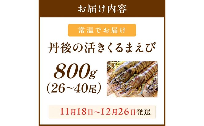 丹後の活きくるまえび 800g（26～40尾）　MN00070