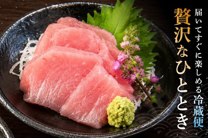 まぐろ ミナミマグロ ビンチョウマグロ 各300g 切り落とし セット [臼福本店 宮城県 気仙沼市 20566282] 魚 鮮魚 刺身 トロ 天然本マグロ マグロ みなみまぐろ ビンチョウ まぐろ 鮪 本まぐろ 本マグロ 本鮪