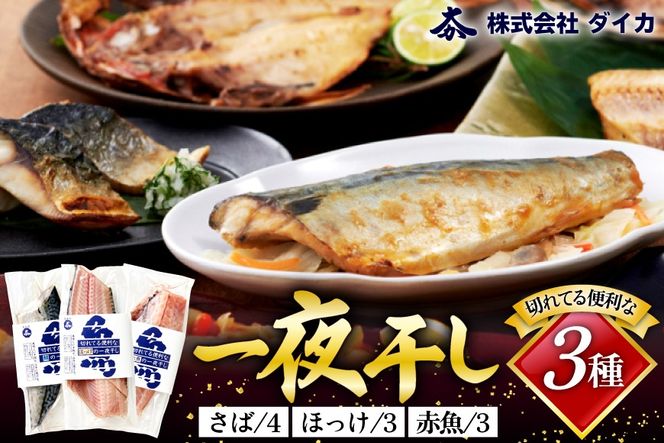 干物 切れてる便利な一夜干し 3種10枚 [気仙沼市物産振興協会 宮城県 気仙沼市 20565256] 詰め合わせ ひもの 冷凍