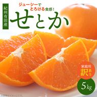 【2027年先行予約】とろける食感！ジューシー柑橘 せとか 5kg 【家庭用 訳あり】_G7355