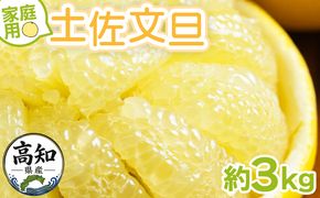 文旦 家庭用 3kg 大小混合(サイズ：L～3L) 高知 大玉 小玉 混合 訳あり 傷 果物 土佐文旦 ぶんたん ブンタン フルーツ 柑橘 香南市産 高知県 数量限定 期間限定 季節限定 旬 常温 10000円以下 1万円以下 yk-0083