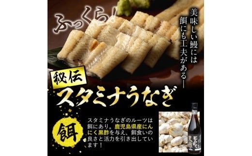 【数量限定】鹿児島県産！秘伝の特上スタミナうなぎ白焼き＜2尾・計240g以上＞肝吸いセット！ a4-098