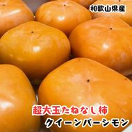 ［柿のふるさと］とっても大きいサイズのたねなし柿 クイーンパーシモン 約4kg 4L～7Lサイズ 青秀以上 ［MS153］ 303446_XD90305