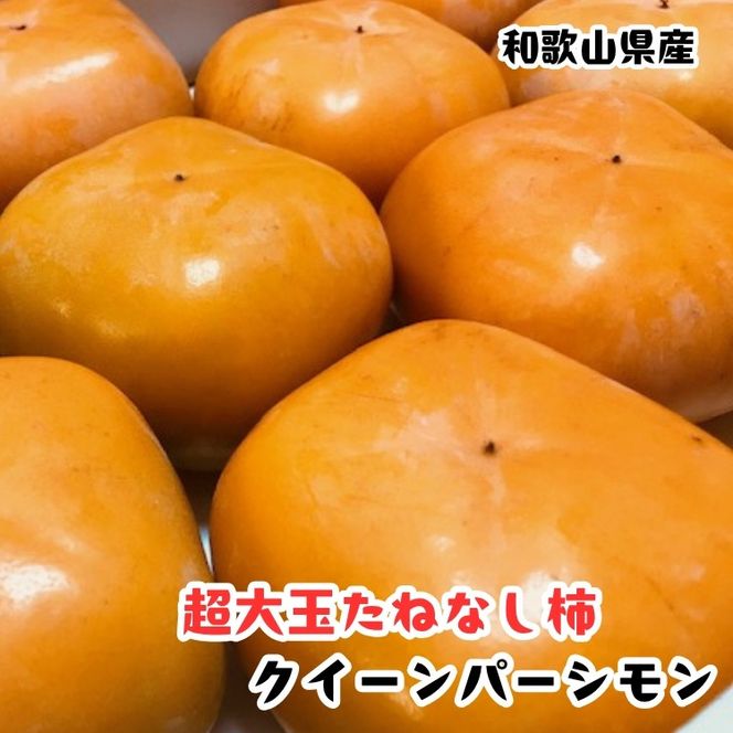 ［柿のふるさと］とっても大きいサイズのたねなし柿 クイーンパーシモン 約4kg 4L～7Lサイズ 青秀以上 ［MS153］ 303446_XD90305