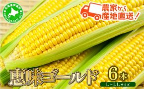 やまけんや とうもろこし 恵味ゴールド 6本 スイートコーン コーン 甘い サラダ スープ 生でも美味しい 産地直送 BBQ とうきび 国産 人気 バーベキュー 焼きとうもろこし 取り寄せ 糖度 北海道 伊達市