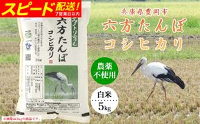 新米 六方たんぼ コシヒカリ 農薬不使用（白米：5kg）令和8年産 / 米 お米 精米 コシヒカリ コウノトリ育む農法