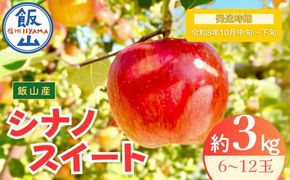 【先行予約丨2026年10月中旬より順次発送】シナノスイート【約3kg (6〜12玉)】(At-011)丨長野県 飯山市 おすすめ ランキング おいしい 高評価 大人気 先取り 産地直送 りんご