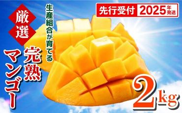 【先行受付】【2025年発送】生産組合が育てる厳選・完熟マンゴー約2kg