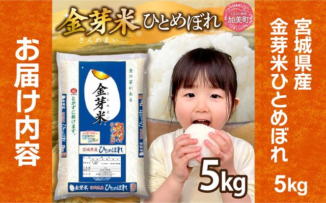 宮城主役ごはんセットB【まぐろたたき（80g×5）×金芽米（5kg）】 | kami-w-sk-b