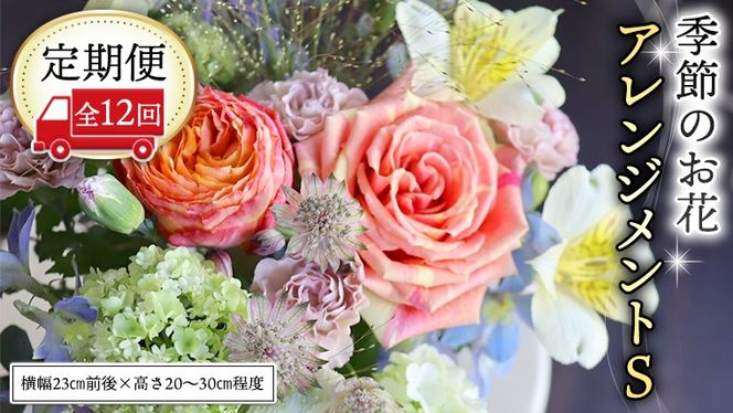 y錧}szցG߂̂ԃAWgS12 AWg  [CT018ci]