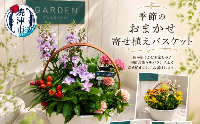 a10-1174　季節のおまかせ寄せ植えバスケット