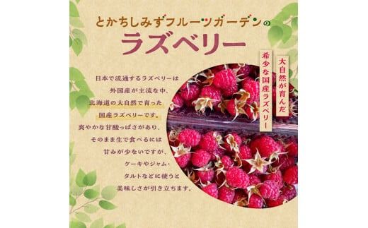 【2026年発送先行予約！】とかちしみずフルーツガーデンのハスカップ&ラズベリーセット_S009-0017