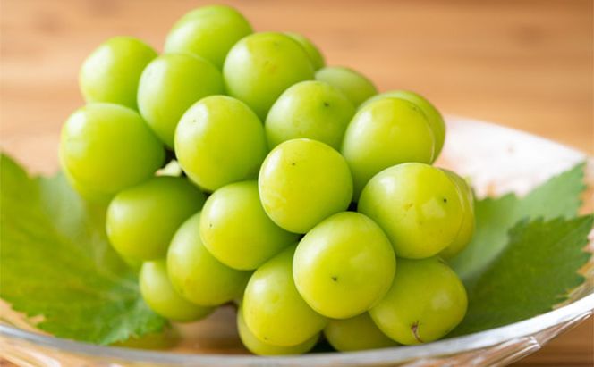 ぶどう 2026年 先行予約 シャイン マスカット 大房1房 約750g 贈答用 ブドウ 葡萄  岡山県産 国産 フルーツ 果物 ギフト 横木農園 ジューシー 種無し 贈り物 岡山県産ぶどう 