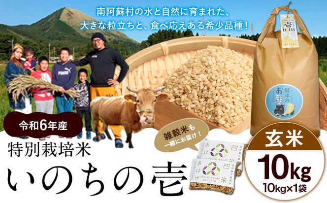 新米 令和6年産 特別栽培米 いのちの壱(玄米)10kg×1 雑穀米付き《30日以内に出荷予定(土日祝を除く)》 熊本県 南阿蘇村 熊本県産 虹色のかば 雑穀米---sms_inci6_30d_24_22000_g10kg---