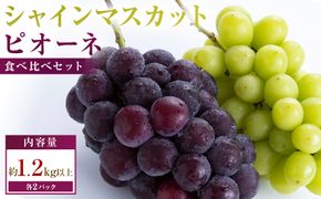 シャインマスカット+ピオーネ　パック食べ比べセット　約1.2kg以上(各2パック) 372013_T006-827J