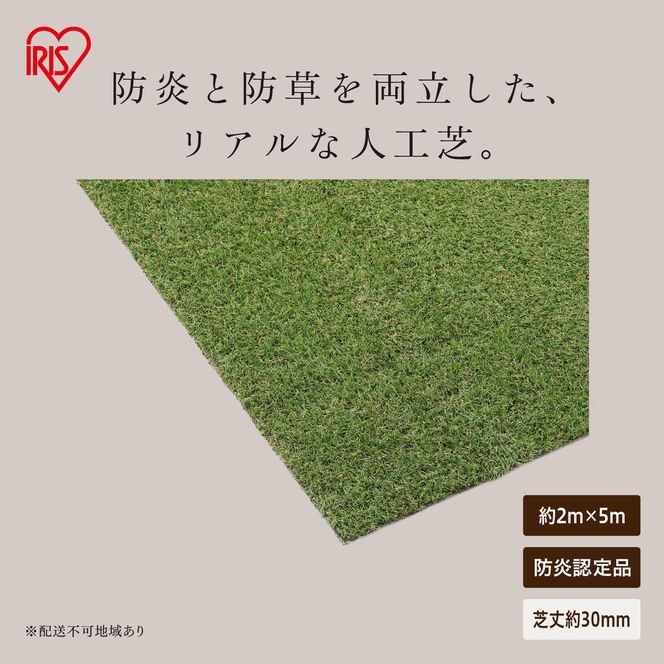防炎防草人工芝 2ｍ×5ｍ BPB-3025