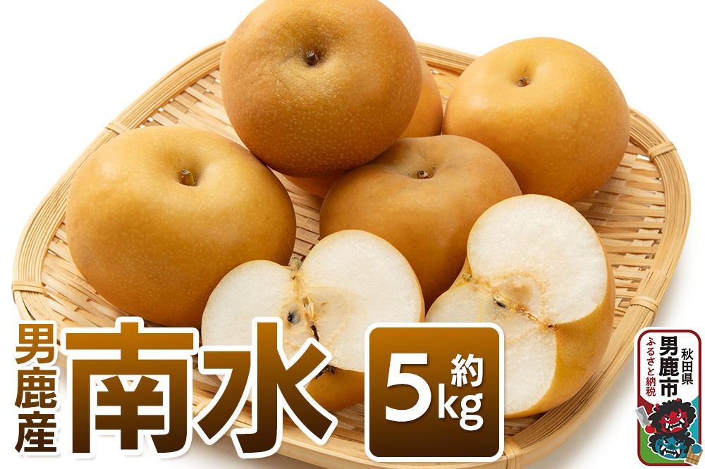 [先行受付]南水 約5kg 10月中旬〜11月中旬発送 梨 旬の果物 ギフト 秋田県 男鹿市 男鹿ファーム直売所|23_ofc-040501