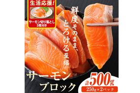 生活応援 サーモン切り落とし5枚付き！生食用 サーモン ブロック(計500g・250g×2P) 鮭 小分け 真空 パック 冷凍 刺身 シャケ サケ 魚 魚介 【AW-98】【丸正水産】