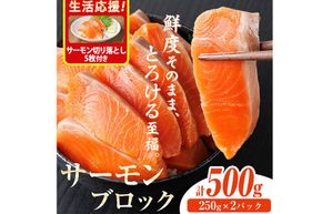 生活応援 サーモン切り落とし5枚付き！生食用 サーモン ブロック(計500g・250g×2P) 鮭 小分け 真空 パック 冷凍 刺身 シャケ サケ 魚 魚介 【AW-98】【丸正水産】