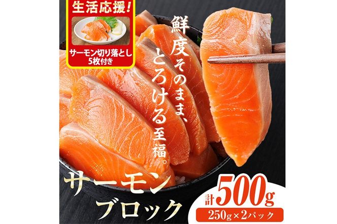 生活応援 サーモン切り落とし5枚付き！生食用 サーモン ブロック(計500g・250g×2P) 鮭 小分け 真空 パック 冷凍 刺身 シャケ サケ 魚 魚介 【AW-98】【丸正水産】