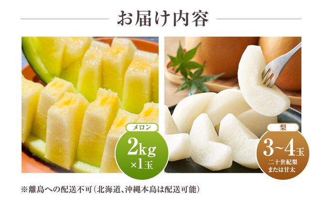 【先行予約】924.【ふるさと納税】【青肉系メロン】ディーバ（メロン）と旬の梨セット※離島への配送不可（北海道、沖縄本島は配送可能） 313726_BQ002
