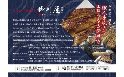 職人手焼きの本格うなぎ蒲焼き3尾_AC-3301