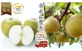 梨 2種 ( 幸水 ＆ 豊水 各10kg 合計20kg ) 定期便 セット 2026年産 先行予約 なし ナシ 赤梨 食べ比べ 食べくらべ [AE023ci]