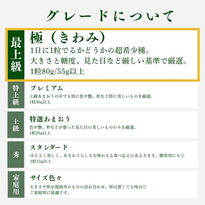 いちご 特大 あまおう 苺 「極」 1粒80g以上 2027年早期受付 果物