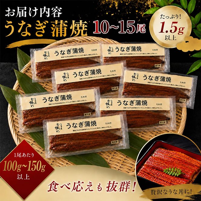 国産うなぎ  蒲焼き 10～15尾セット(合計1.5kg) タレ付き 国産 うなぎ ウナギ 鰻 蒲焼 かば焼き セット 惣菜 冷凍