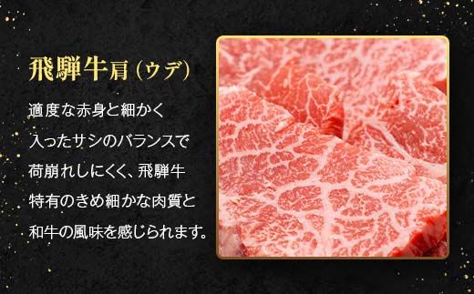 「肉の芸術品」飛騨牛切り落とし（モモ、肩、バラ）500g（250g×2）【用途は様々！焼肉、BBQ、すき焼き、煮物、牛丼、炒め物など】 F4N-2857