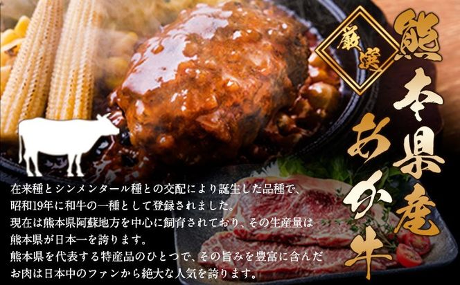 熊本県産あか牛100%生ハンバーグ 140g×13個入り 合計1820g 1.82kg以上《30日以内に出荷予定(土日祝除く)》熊本県産あか牛 バイキングベーカリー 冷凍---gkt_lcl_167_13k---