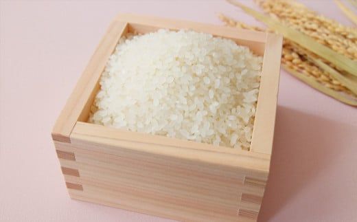 令和8年産 コシヒカリ 冬眠米 10kg（5kg×2袋） | 茨城県産 白米 精米 ごはん お米 冬眠 とうみんまい ブランド米 検査米 単一原料米 国産 守谷市 送料無料
