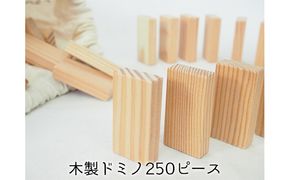 ドミノ 木製 おもちゃ こだわりの木材でつくる！ 木製ドミノ 250ピース 工芸品 室内 遊び 玩具 ファミリートイ ゲーム 
