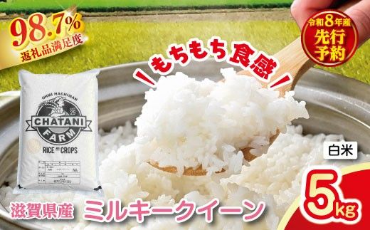 【新米　先行予約】令和8年産近江米　ミルキークイーン 白米【5kg×1袋】【V020W】