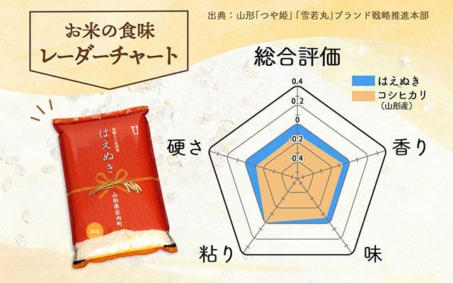 庄内町産 はえぬき 20kg 5kg×4袋 令和7年産 2025年産 ブランド米 コシヒカリの原点、亀の尾発祥の地 庄内