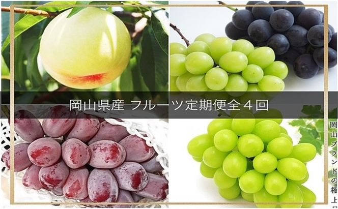 【2026年 先行予約 】晴れの国 岡山 の フルーツ 定期便 4回コース 岡山県産 葡萄 ぶどう 梨 なし
