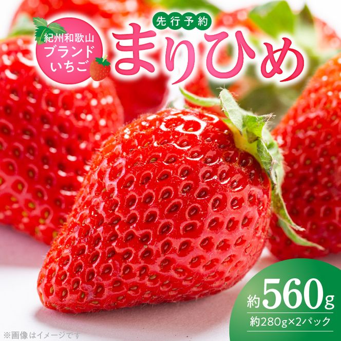 G7348_【2027年先行予約】 紀州和歌山ブランドいちご まりひめ 約280g×2P